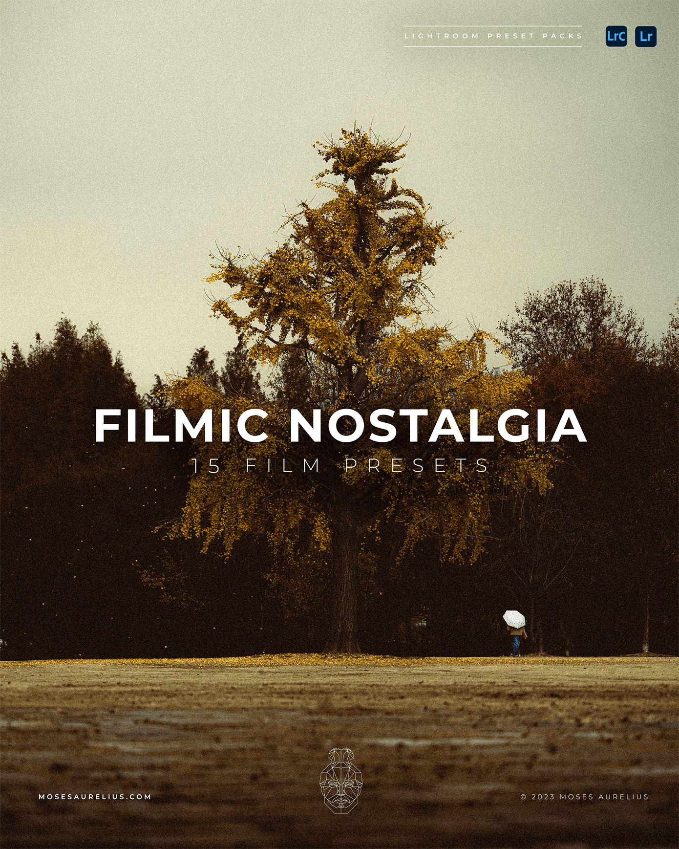 Filmic Nostalgia - 15 Film Lightroom Presets