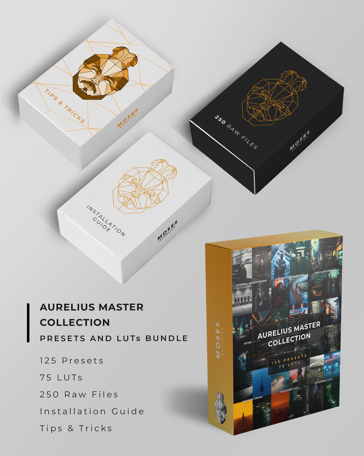 Aurelius Master Collection - 125 Presets & 75 LUTs (LUT Upsell)