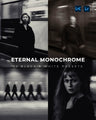 Eternal Monochrome Lightroom Preset Pack