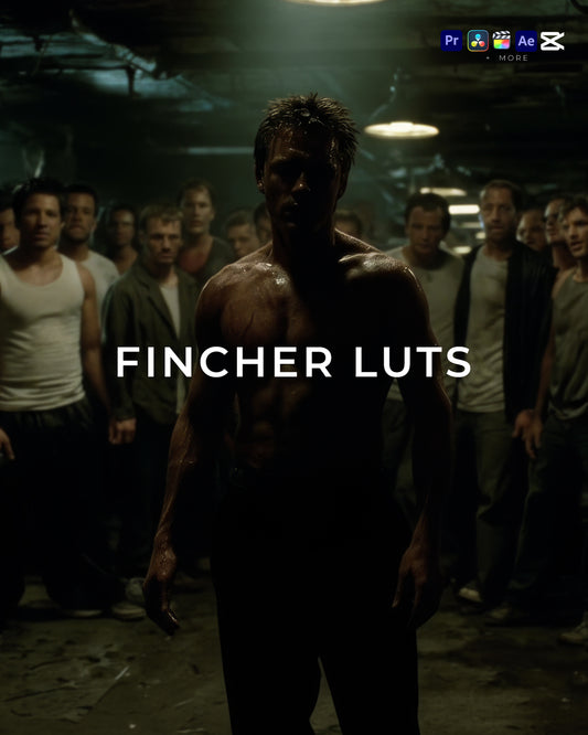 Fincher LUTs – 25 Movie LUTs