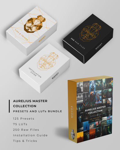 Aurelius Master Collection - 125 Presets & 75 LUTs (Preset Upsell)
